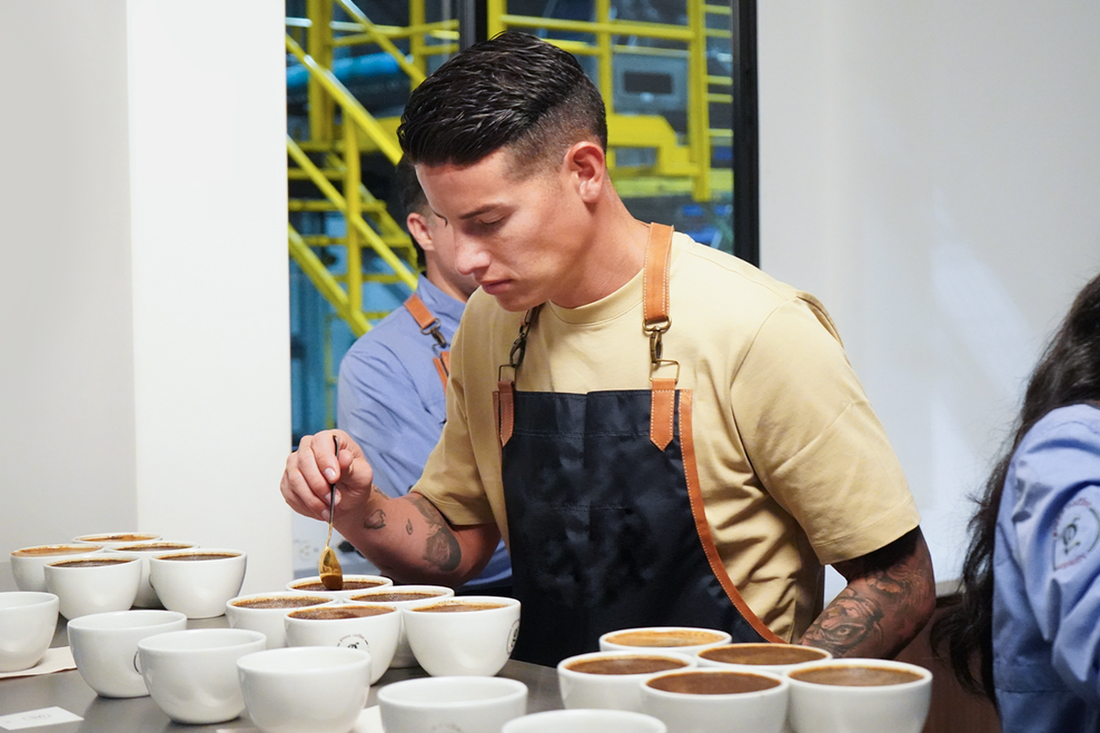 ¿Cómo identificar notas en una taza de café de especialidad?