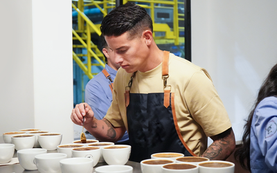 ¿Cómo identificar notas en una taza de café de especialidad?