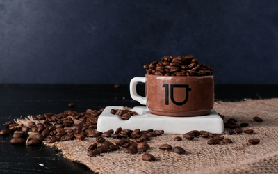 Accessible gourmet coffee: premium quality within everyone’s reach