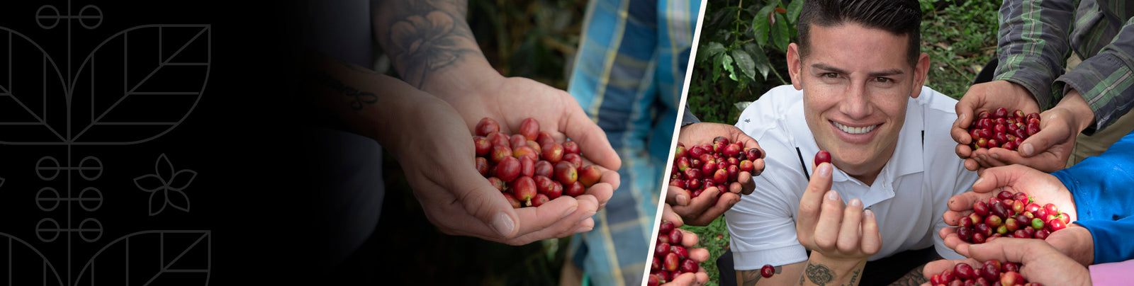 A PERFECT TEN IN EVERY BEAN.